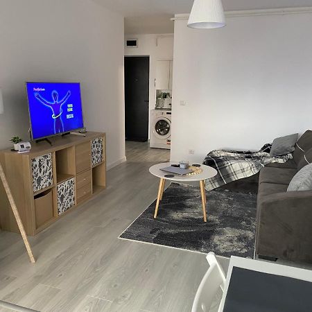 Zian Flat Apartment Букурещ Екстериор снимка