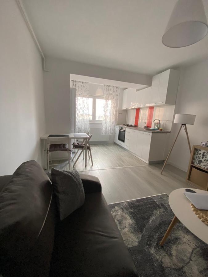 Zian Flat Apartment Букурещ Екстериор снимка